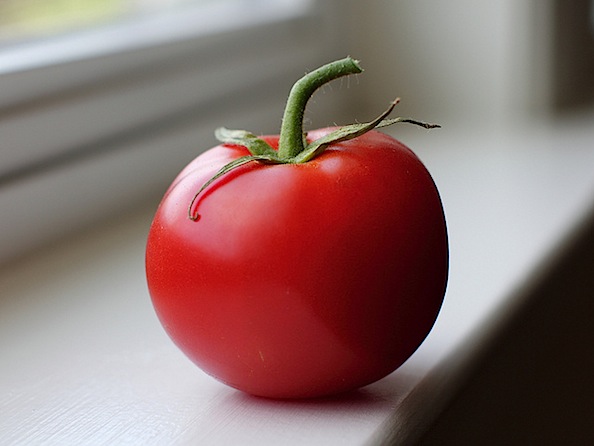 tomato be focused